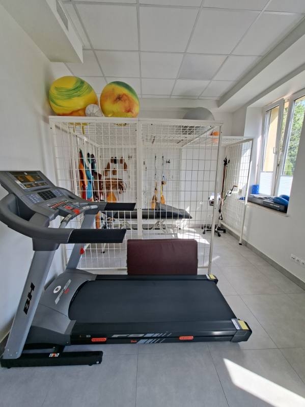 Sprzęt do rehabilitacji